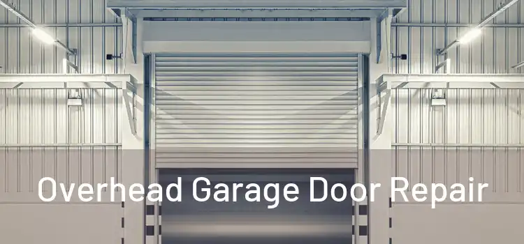  Overhead Garage Door Repair 